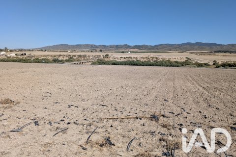 Komerciāls īpašums pārdošanā Lorca, Murcia, Spānijā Nr. 194408 - attēls 2