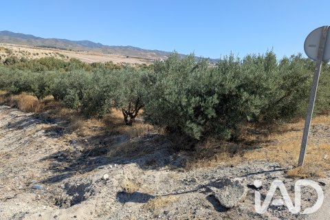 Komerciāls īpašums pārdošanā Lorca, Murcia, Spānijā Nr. 194408 - attēls 12