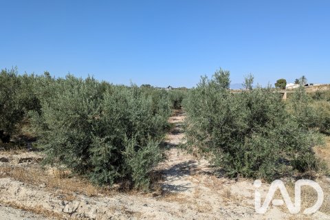 Komerciāls īpašums pārdošanā Lorca, Murcia, Spānijā Nr. 194408 - attēls 10