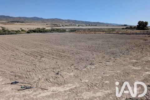 Komerciāls īpašums Lorca, Murcia, Spānijā Nr. 194408