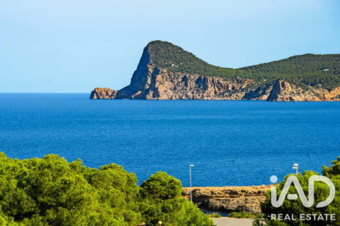 Hus till salu i Sant Josep de sa Talaia, Ibiza, Spanien 8 sovrum, 650 kvm. Nr. 194402 - foto 4