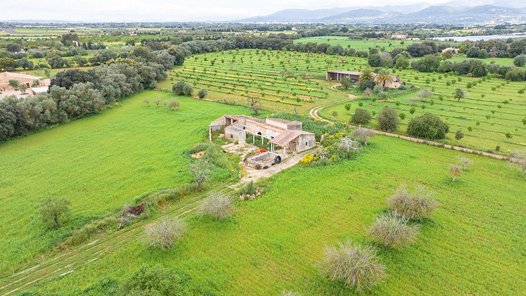 Terreno a Binissalem, Mallorca, Spagna 430 mq. N° 143537