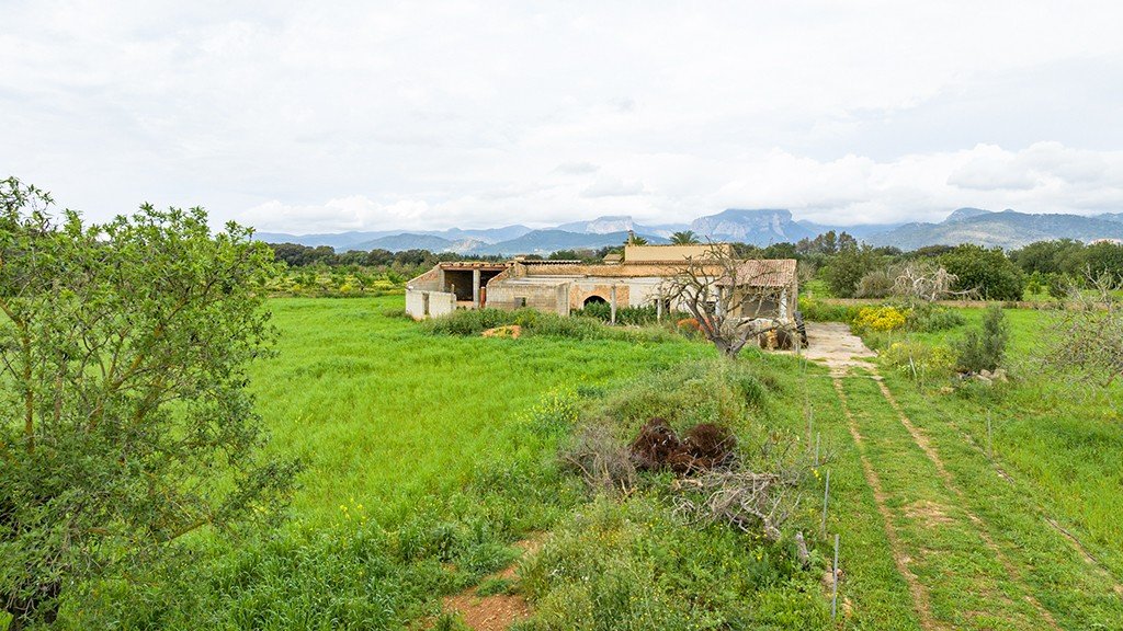 Terreno a Binissalem, Mallorca, Spagna 430 mq. N° 143537