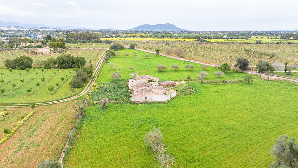 Terreno a Binissalem, Mallorca, Spagna 430 mq. N° 143537