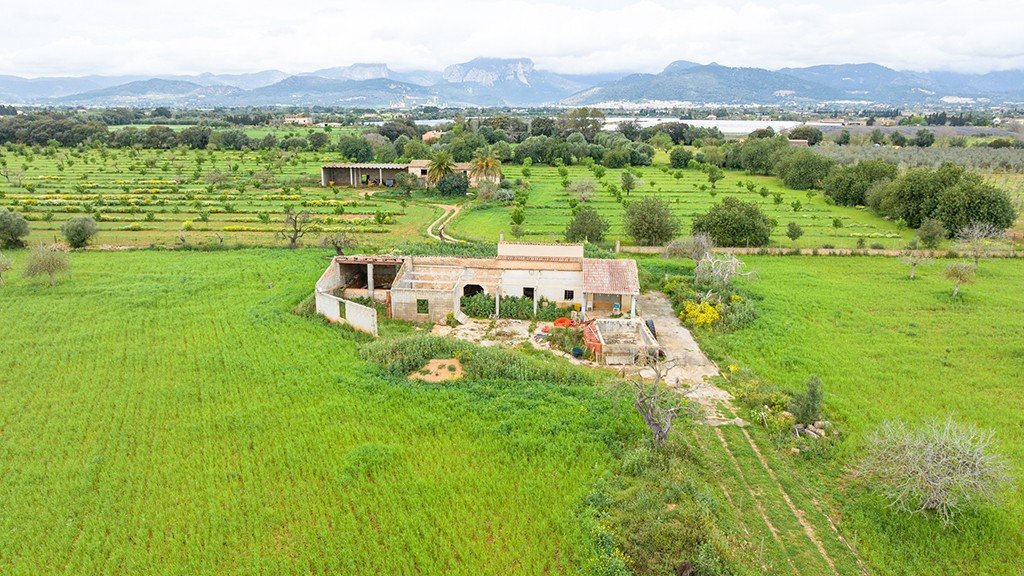 Terreno a Binissalem, Mallorca, Spagna 430 mq. N° 143537