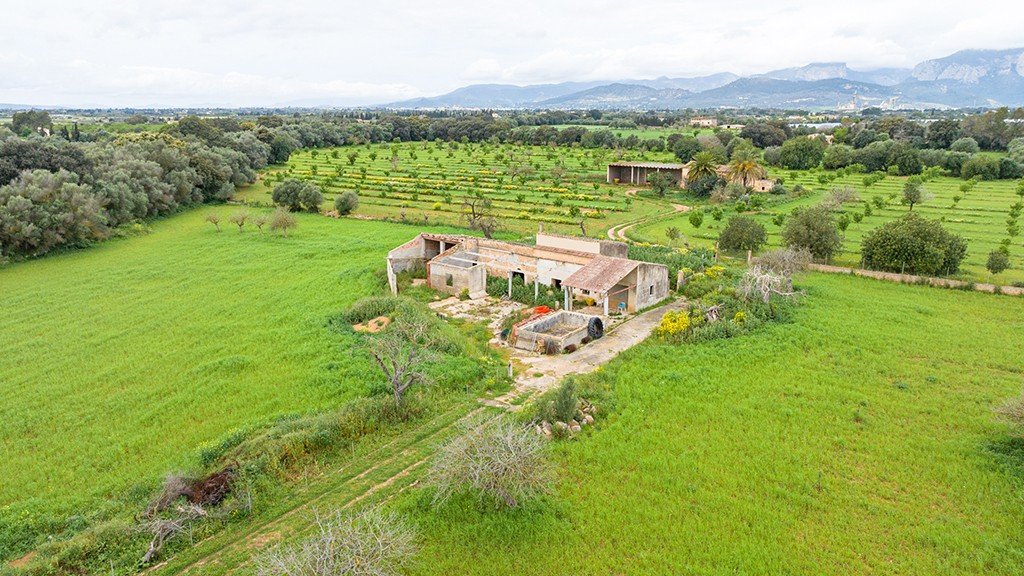 Terreno a Binissalem, Mallorca, Spagna 430 mq. N° 143537