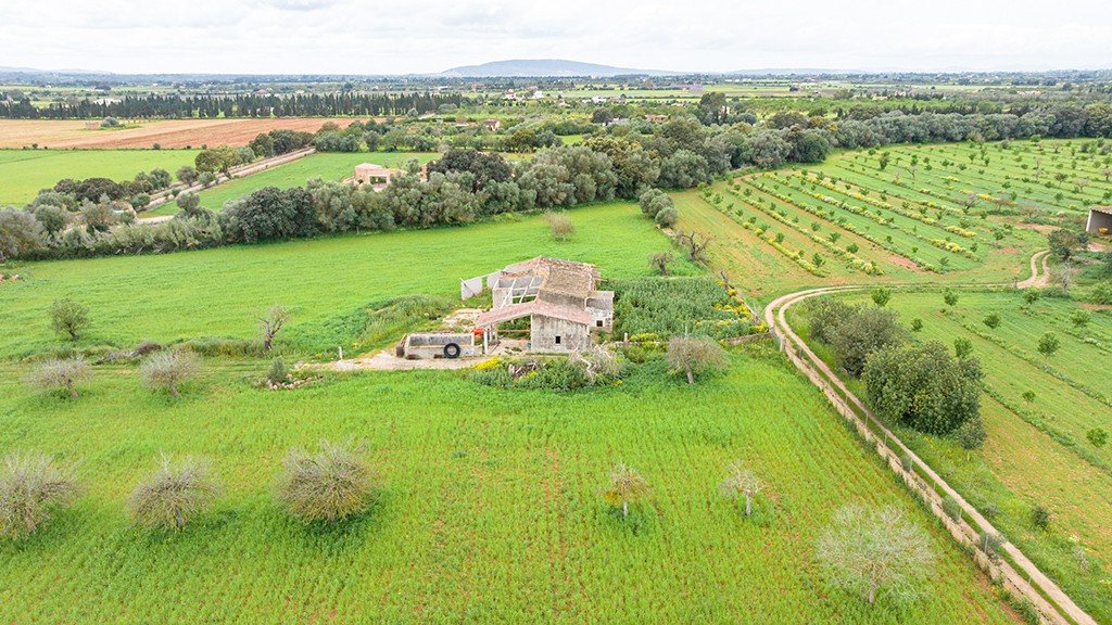 Terreno a Binissalem, Mallorca, Spagna 430 mq. N° 143537