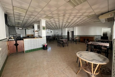 Proprietà commerciale in vendita a Torrevieja, Alicante, Spagna 300 mq. N° 182797 - foto 14