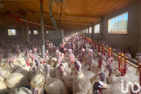 Zemes gabals pārdošanā Mas De Barberans, Tarragona, Spānijā 18627 m2 Nr. 154069 - attēls 26