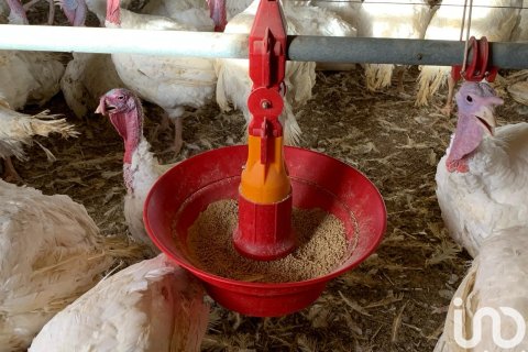 Zemes gabals pārdošanā Mas De Barberans, Tarragona, Spānijā 18627 m2 Nr. 154069 - attēls 11