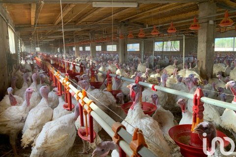 Zemes gabals pārdošanā Mas De Barberans, Tarragona, Spānijā 18627 m2 Nr. 154069 - attēls 16