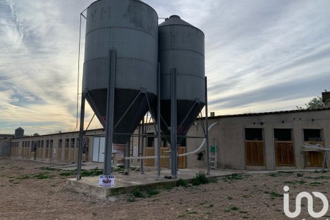 Zemes gabals pārdošanā Mas De Barberans, Tarragona, Spānijā 18627 m2 Nr. 154069 - attēls 3