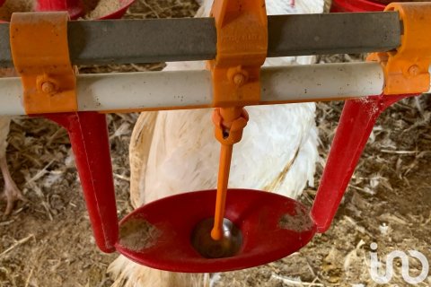 Zemes gabals pārdošanā Mas De Barberans, Tarragona, Spānijā 18627 m2 Nr. 154069 - attēls 13