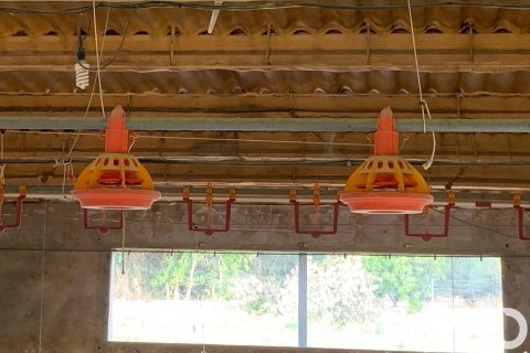 Zemes gabals pārdošanā Mas De Barberans, Tarragona, Spānijā 18627 m2 Nr. 154069 - attēls 12