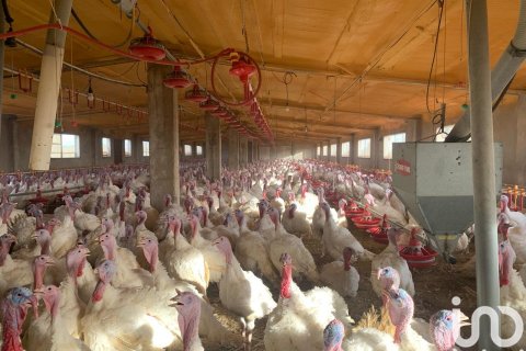 Zemes gabals pārdošanā Mas De Barberans, Tarragona, Spānijā 18627 m2 Nr. 154069 - attēls 17