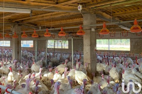 Zemes gabals pārdošanā Mas De Barberans, Tarragona, Spānijā 18627 m2 Nr. 154069 - attēls 14