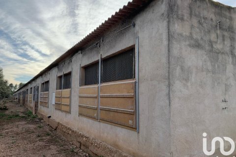 Terreno a Mas De Barberans, Tarragona, Spagna 18627 mq. N° 154069