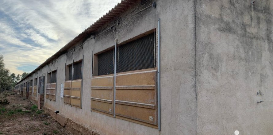 Zemes gabals Mas De Barberans, Tarragona, Spānijā 18627 m2 Nr. 154069