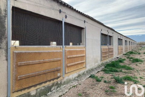 Zemes gabals pārdošanā Mas De Barberans, Tarragona, Spānijā 18627 m2 Nr. 154069 - attēls 9