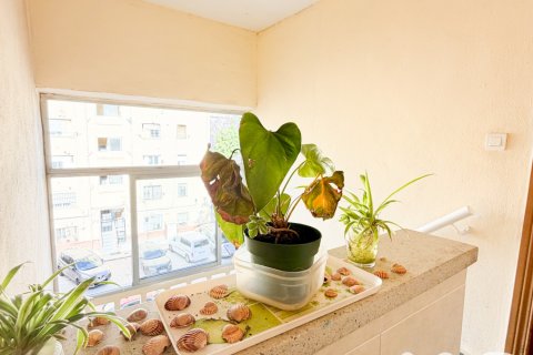 Apartament w Malaga, Hiszpania 2 sypialnie, 60 mkw. nr 172203 – zdjęcie 23