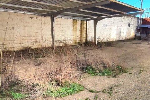 Commercial property for sale in Santovenia de la Valdoncina, Leon, Spain 1839 sq.m. No. 153770 - photo 23