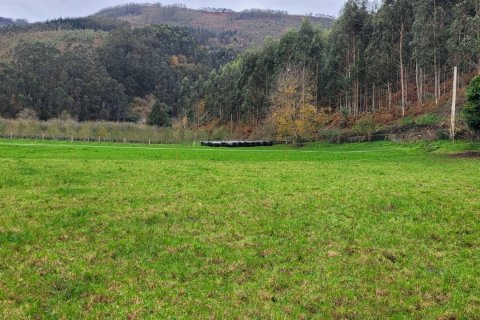 Продажа дома в Сан-Тирсо-де-Абрес, Астурия, Испания 6 спален, 538м2 №153764 - фото 11