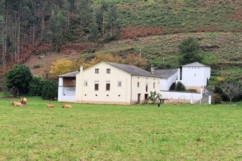 Продажа дома в Сан-Тирсо-де-Абрес, Астурия, Испания 6 спален, 538м2 №153764 - фото 23