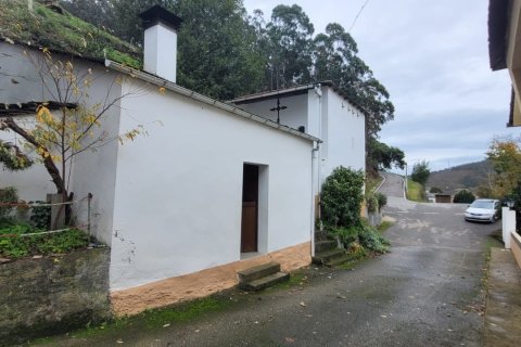 Продажа дома в Сан-Тирсо-де-Абрес, Астурия, Испания 6 спален, 538м2 №153764 - фото 17