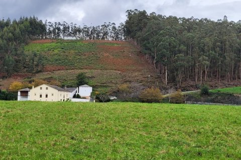 Продажа дома в Сан-Тирсо-де-Абрес, Астурия, Испания 6 спален, 538м2 №153764 - фото 2