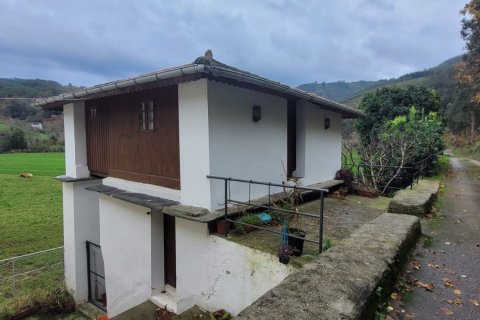 Продажа дома в Сан-Тирсо-де-Абрес, Астурия, Испания 6 спален, 538м2 №153764 - фото 28