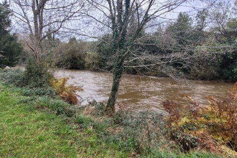 Продажа дома в Сан-Тирсо-де-Абрес, Астурия, Испания 6 спален, 538м2 №153764 - фото 10