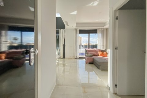 Villa till salu Torrevieja, Alicante, Spanien 4 sovrum, 219 kvm. Nr. 133333 - foto 12