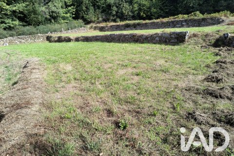Parcela en venta en Mondariz, Pontevedra, España 1583 m2 No. 195091 - foto 7