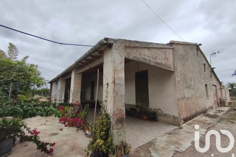 House in Elche, Alicante, Spain 5 bedrooms, 240 sq.m. No. 152941