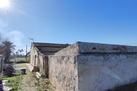 Māja pārdošanā Elche, Alicante, Spānijā 5 istabas, 240 m2 Nr. 152941 - attēls 4