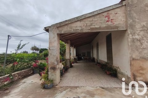 Māja pārdošanā Elche, Alicante, Spānijā 5 istabas, 240 m2 Nr. 152941 - attēls 2