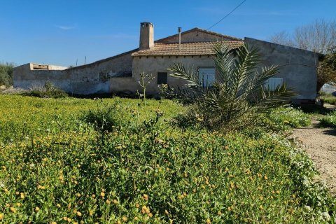 Māja pārdošanā Elche, Alicante, Spānijā 5 istabas, 240 m2 Nr. 152941 - attēls 7