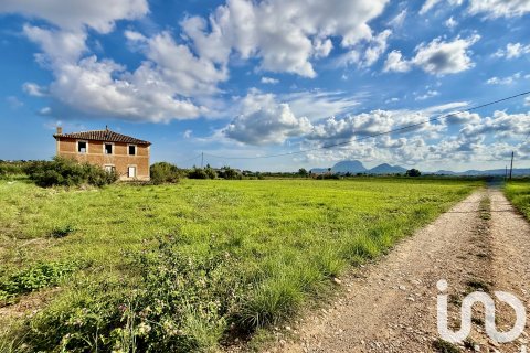 Terreno in vendita a Beniarbeig, Alicante, Spagna 31480 mq. N° 152942 - foto 12