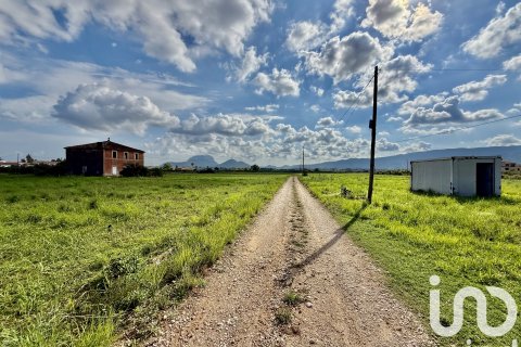 Terreno in vendita a Beniarbeig, Alicante, Spagna 31480 mq. N° 152942 - foto 11