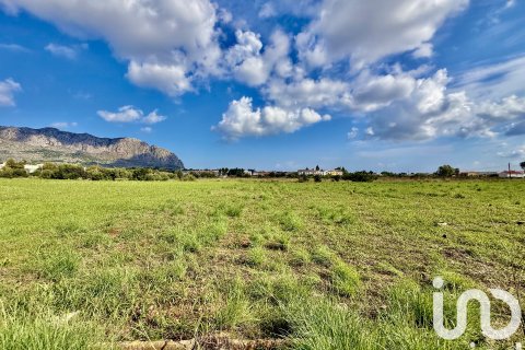 Terreno in vendita a Beniarbeig, Alicante, Spagna 31480 mq. N° 152942 - foto 18
