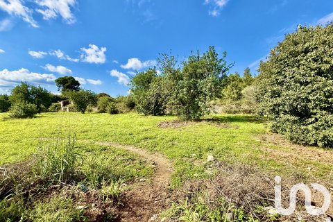 Terreno in vendita a Beniarbeig, Alicante, Spagna 31480 mq. N° 152942 - foto 4