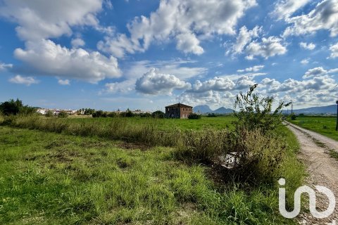 Terreno in vendita a Beniarbeig, Alicante, Spagna 31480 mq. N° 152942 - foto 8