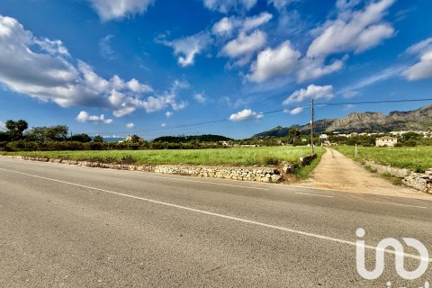 Terreno in vendita a Beniarbeig, Alicante, Spagna 31480 mq. N° 152942 - foto 21