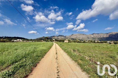 Terreno in vendita a Beniarbeig, Alicante, Spagna 31480 mq. N° 152942 - foto 15