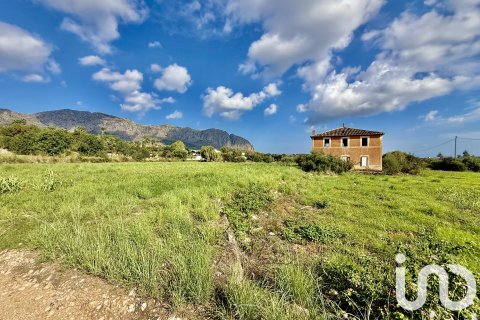 Terreno in vendita a Beniarbeig, Alicante, Spagna 18763 mq. N° 152943 - foto 4
