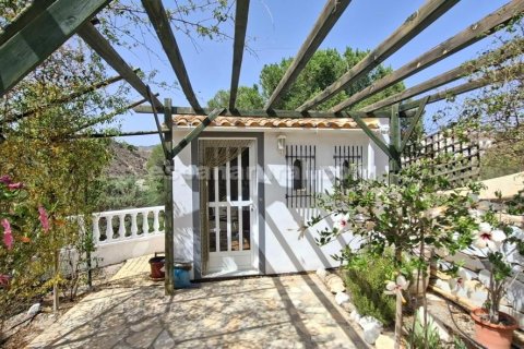 Villa for sale in Arboleas, Almeria, Spain 3 bedrooms, 130 sq.m. No. 181801 - photo 23