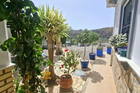 Villa for sale in Arboleas, Almeria, Spain 3 bedrooms, 130 sq.m. No. 181801 - photo 14