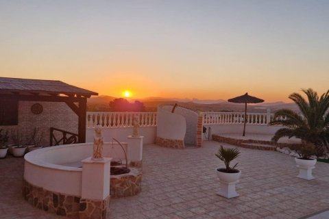 Huvila myytävänä Pinoso, Alicante, Espanja, 4 makuuhuonetta, 253 m2 No. 173854 - kuva 12