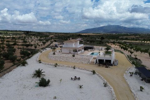 Huvila myytävänä Pinoso, Alicante, Espanja, 4 makuuhuonetta, 253 m2 No. 173854 - kuva 8