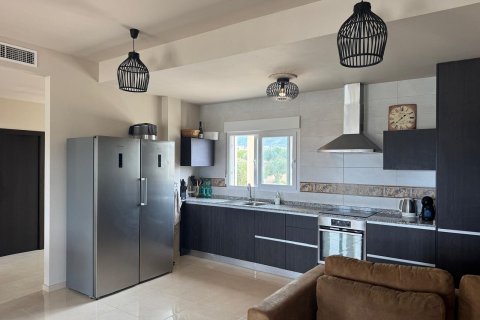 Huvila myytävänä Pinoso, Alicante, Espanja, 4 makuuhuonetta, 253 m2 No. 173854 - kuva 28